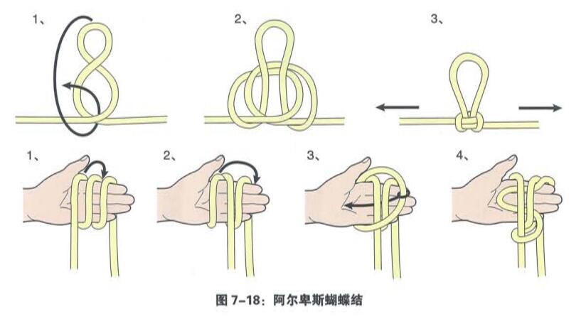 阿爾卑斯蝴蝶結(jié).jpg